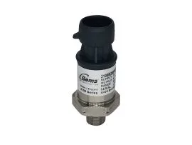 Gems Sensors 3100S0010G01B000